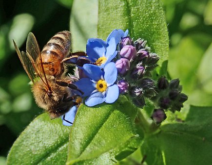 �������������_�W�ְ֑Y��