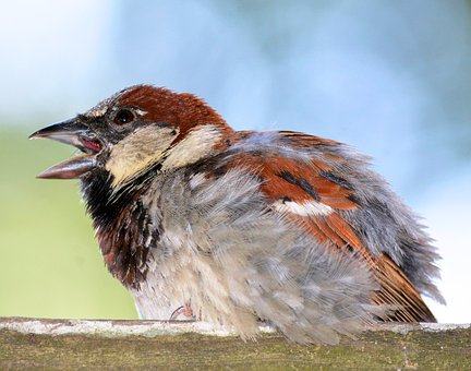 �������ѣ��߿���ǰ�ʳҪע�ؼ�(x��)��(ji��)