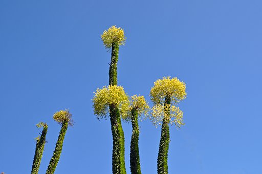 �A���h�T˼��R�������°�