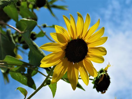 ����ȱ�������ĵı��F(xi��n)