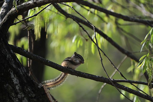 �����^��W�������� ��W�����Y�����r��