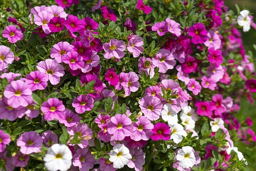 �����Z�ď���Ӌ�����Ĵ��A�Ώ��݂俼