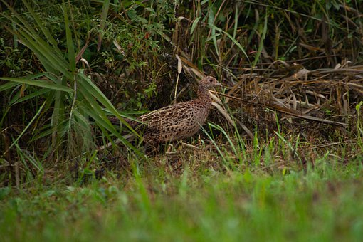 ���}�ǌW���ı�횆᣿