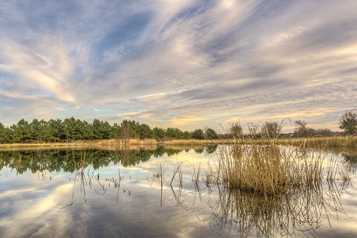 ���Ӱl(f��)Ƣ����L(zh��ng)Ҫ�W(xu��)��(hu��)�^(q��)�e����