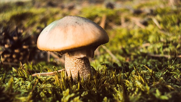 家長課堂:父母容易走進的家庭教育五大誤區