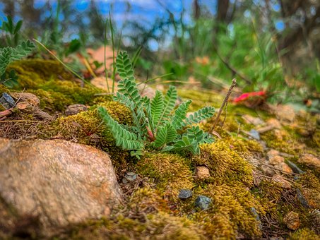 PEPС�W(xu��)Ӣ�Z���꼉(j��)�σ�(c��)������Ԫ�̰�