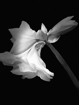 �õĽ����������ڼ�(x��)��(ji��)��