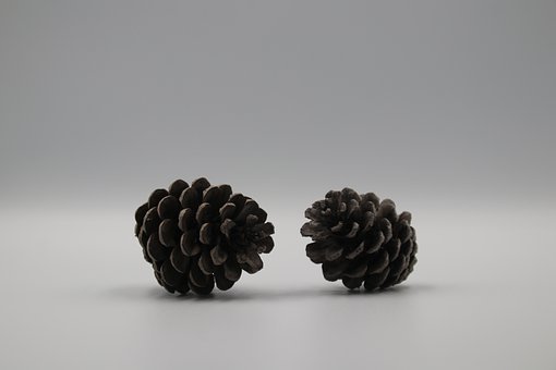 ��Ѹ���g�WԺ��B