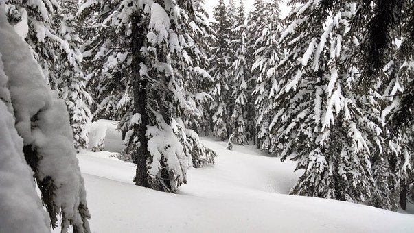 2013�п��Z�ď��������A��(5-6�·�)�俼���h