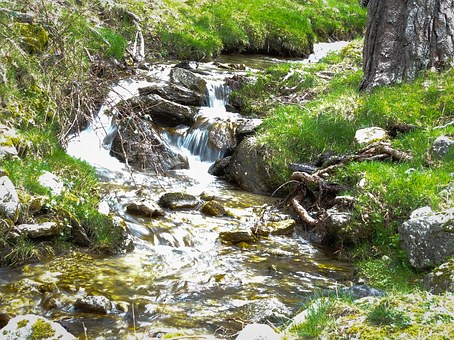 ��������ʮ��W(xu��)��(x��)����