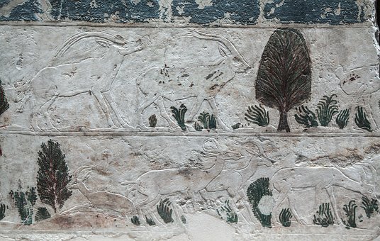 �߿��^�� ����W��ԓ���Ҏ������W��֪��