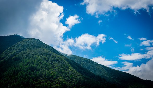 正確看待早戀:培養(yǎng)孩子正確認識和處理情感