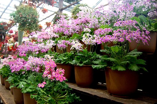 小學英語基礎薄弱,初中階段如何實現平穩過渡與逆襲