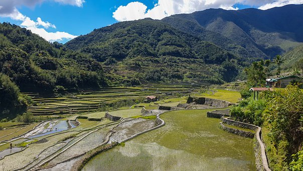 中考作文:教你三招寫好精彩開頭