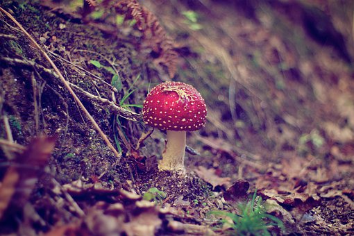  ՄՄ���n���o���J֪�Ă��˿���