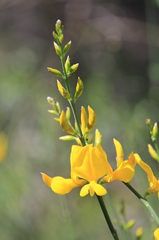 ����Մ���߿�Ӣ�Z��������