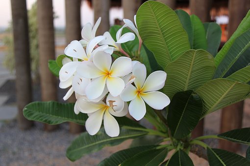 如何解決叛逆期孩子亂花錢的問題