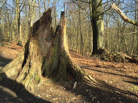 �Wǰ��������С�W�� �옷���Ǻ��ӵĵ�һͰ��