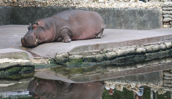 �ߵȔ�(sh��)�W�W������(7)