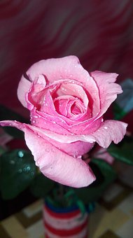 2008年考研教育學(xué)專業(yè)大綱重難點(diǎn)權(quán)威解析