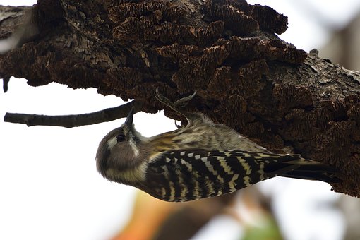 一份教科書級別的小學生新學期規劃,讓孩子從“被動學”轉為“主動學”