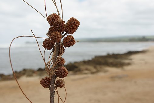 �֮�Ƶļҽ̽��