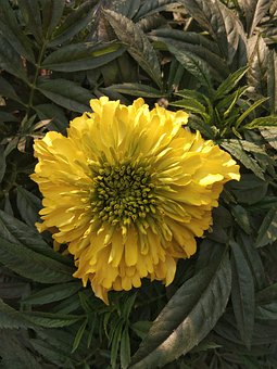 如何處理孩子早戀問題