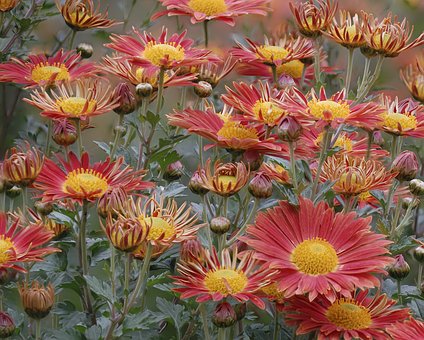 ���Ӕ�(sh��)�W(xu��)���_(k��i)�[�����S�҂�ֻ����(du��)��һ�룬�@10��(g��)�P(gu��n)�I�c(di��n)�����ƾ�֮��