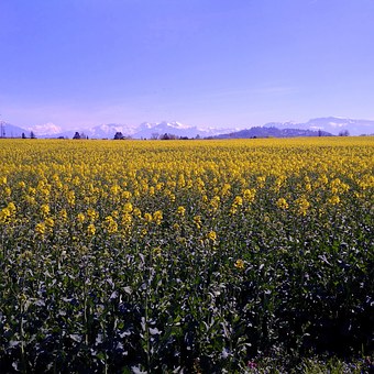 不在實驗班的家長不要焦慮,看看以下幾點,對于普娃或許未必是壞事
