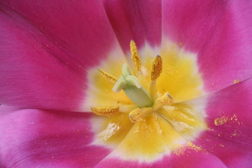 �@΢�R���}�Ƕ��о�