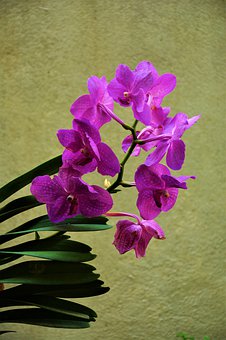 �^�����Ľ���Ӣ�Z ������з���