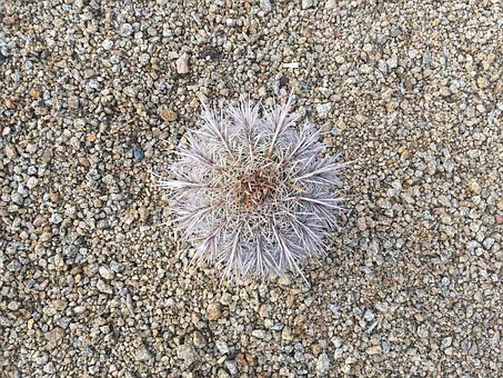 �h��̫����׌���]�죬�@8�lӢ�Z���_�Yò�ֵص�