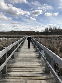 藝術人才培養像流水線  委員痛批藝術教育大躍進
