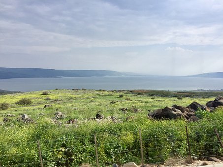 賓夕法尼亞州立大學申請信(2)