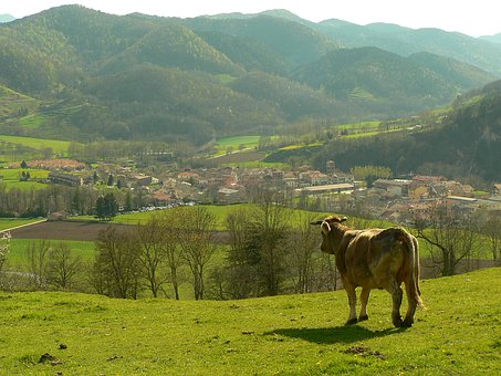 �����όW�ښvʷ֪�R�c