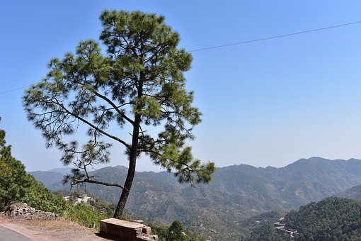 �W���״�Ҫ�c