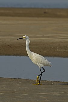 孩子叛逆期:理解、溝通和幫助