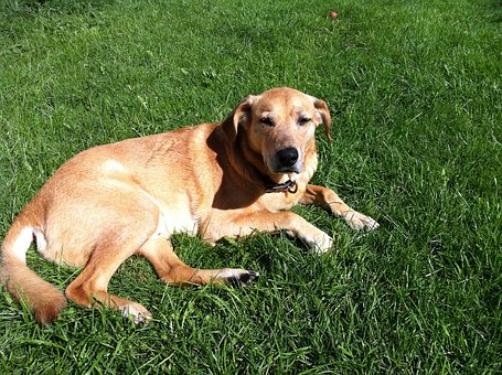 �����_�W(xu��)�����L(zh��ng)����Ҫ�W(xu��)��(hu��)���D(zhu��n)�͡�