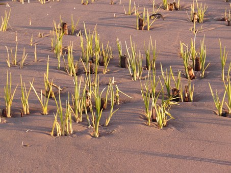 ���������L����׌���ӡ��������