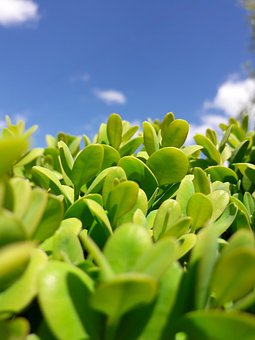 怎么管教不聽話的孩子