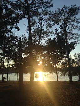 高三政治選修一知識點歸納