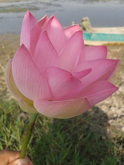 高三學生出現(xiàn)厭學情緒了怎么辦