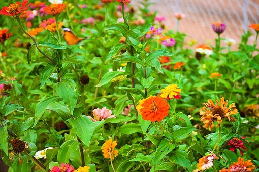 5種運(yùn)動(dòng)讓孩子聰明過人