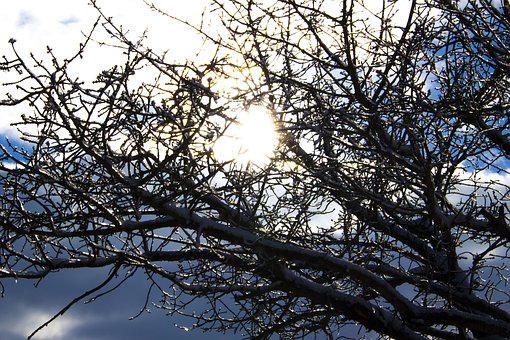 ���W�W�ڿ��Y