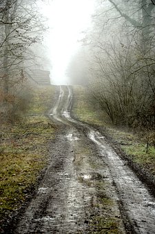 �����ɳ����˼���g��ƪ