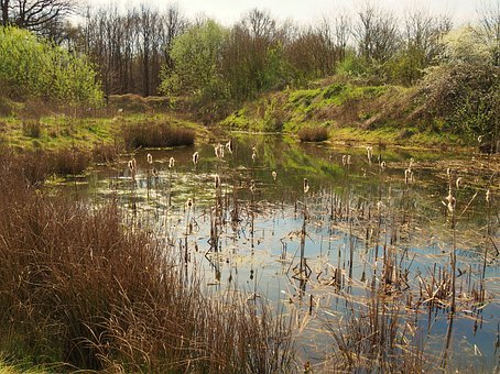 �߿��w�����L�����ٜp���(xi��ng)