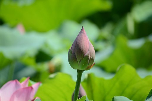 初中生懶散拖拉不求上進怎么教育
