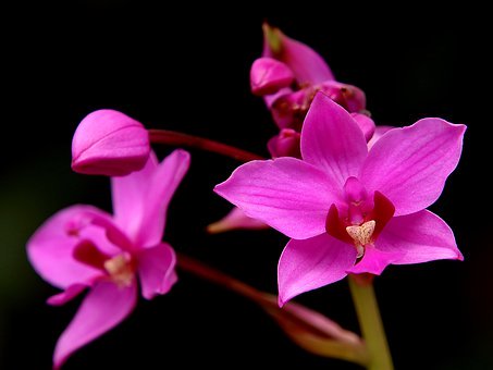 培養(yǎng)誠實的孩子:家庭教育中的關(guān)鍵要素