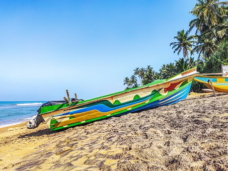 2011���K�߿������(f��)��(x��)���h