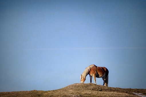 ^(q)2011-2012WȳWσĩԇ}